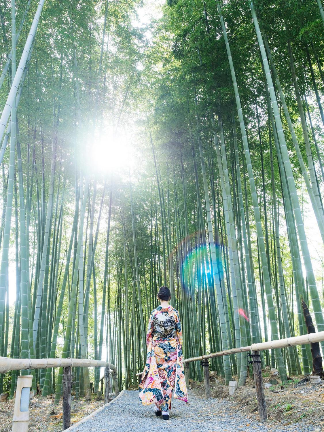 A person wearing a colorful kimono walks along a path surrounded by tall bamboo trees, with sunlight streaming through the canopy.
