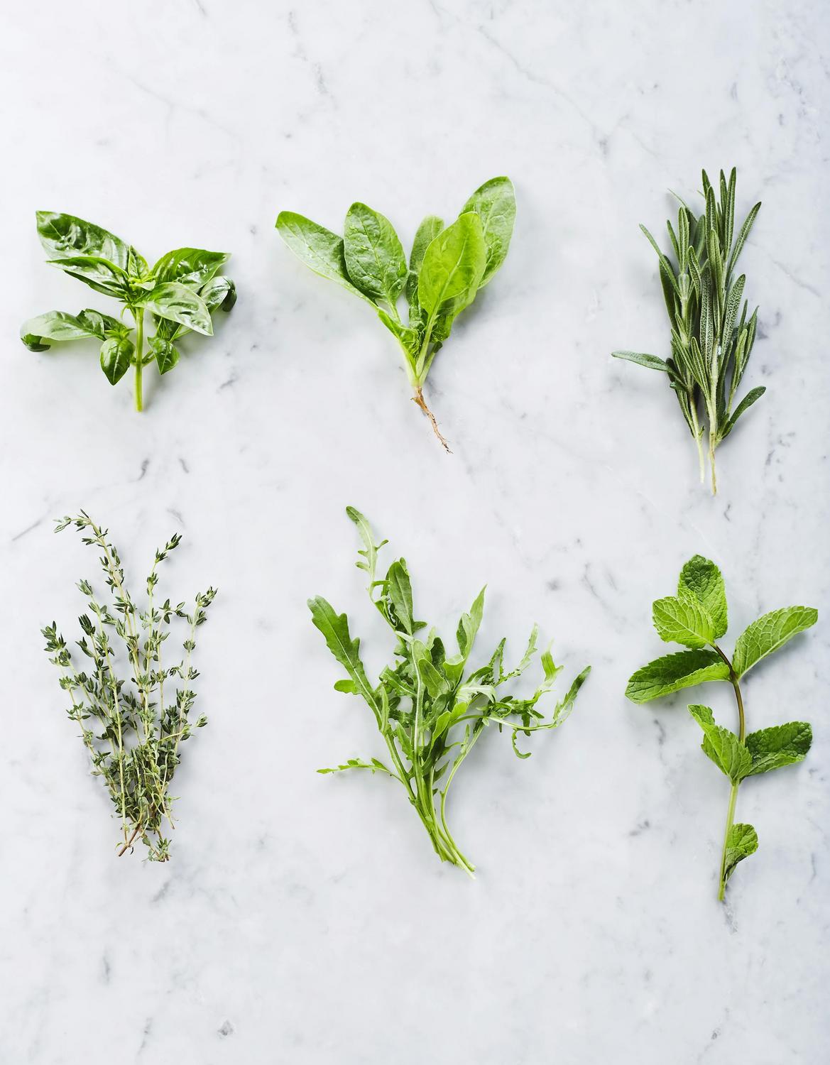 Six fresh herb and green sprigs—basil, spinach, rosemary, thyme, arugula, and mint—are arranged on a white marble surface.