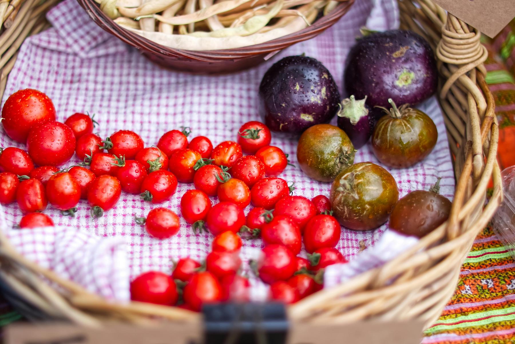 A wicker basket lined with a red and white checkered cloth holds small red tomatoes, round eggplants, and greenish-brown tomatoes.