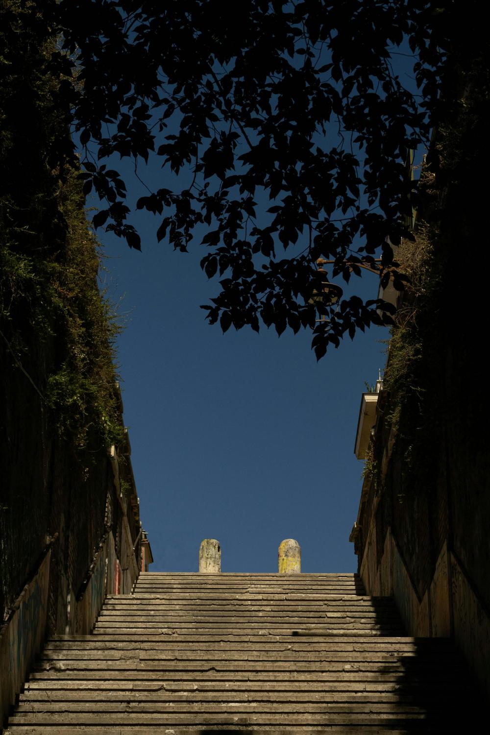 Wide stone staircase leading upward, framed by foliage at the top against a clear blue sky, with two stone posts visible at the summit.