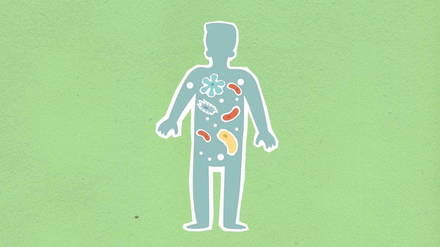 Silhouette of a person with various food items inside representing a healthy diet on a green background.