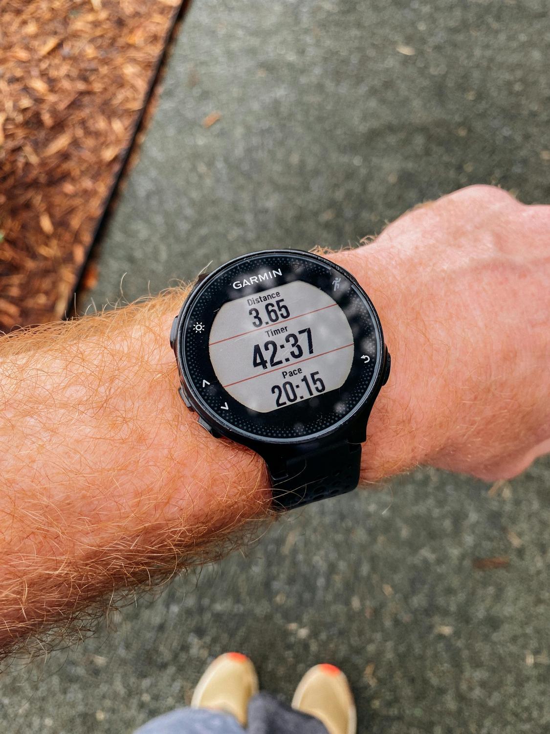 A person wearing a Garmin watch displaying a completed run: 3.65 miles distance, 42:37 time, and 20:15 pace while standing on a paved path.