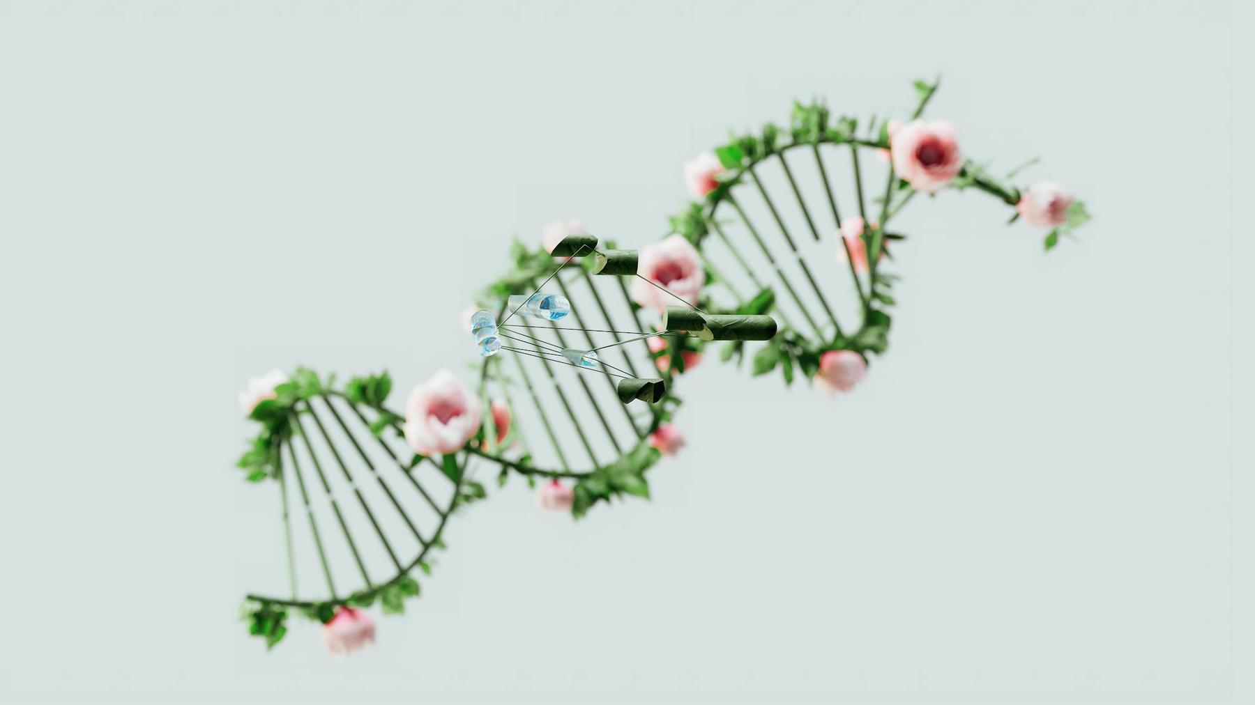 A DNA helix made of green vines and pink flowers on a pale background.
